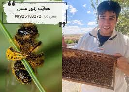 تصویر 2 از فروش عسل آویشن کوهستان اردبیل ملکه